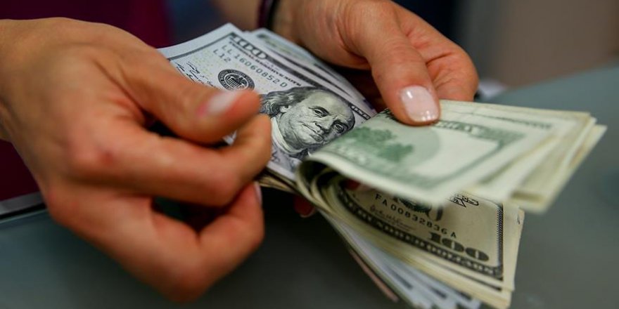 Dolar/TL 3,02'nin altını gördü