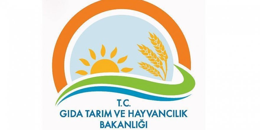 Gıda Tarım ve Hayvancılık Bakanlığında 582 kişi açığa alındı