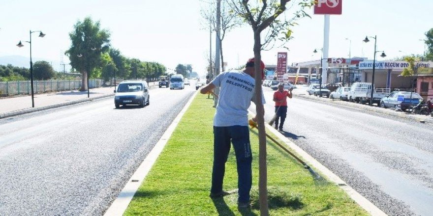 Germencik Belediyesi, Atatürk Caddesi ve Ortaklar’da refüj temizliği yaptı