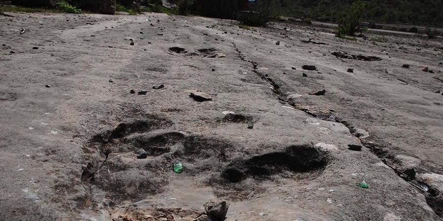 Bolivya'da bir dinozorun ayak izi bulundu
