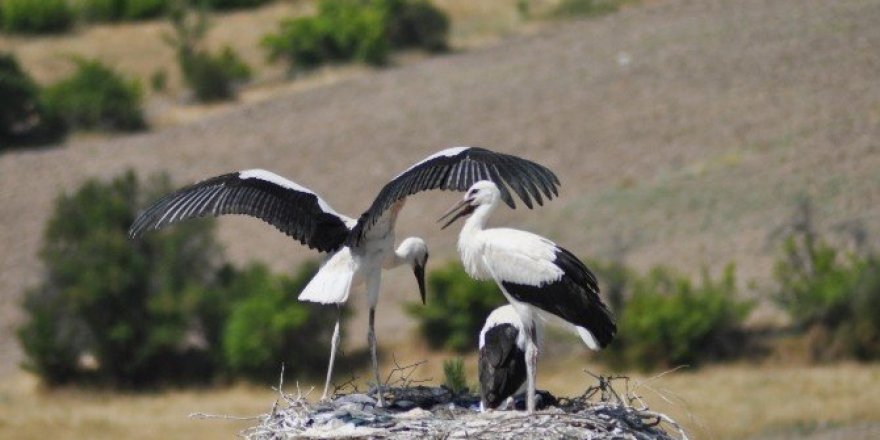 ATO’dan Kızılcahamam’a Tanıtım Gezisi