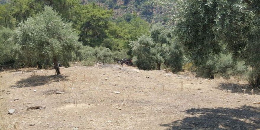 Milas’ta şüpheli ölüm