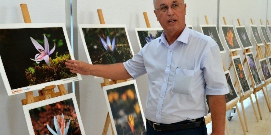 “Antalya’nın Çiğdemleri” Konyaaltı’nda açtı