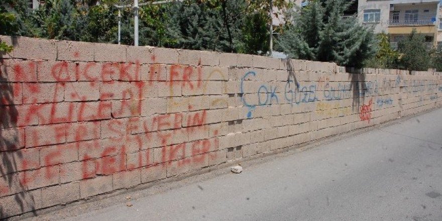 Duvar yazıları görüntü kirliliğine neden oluyor