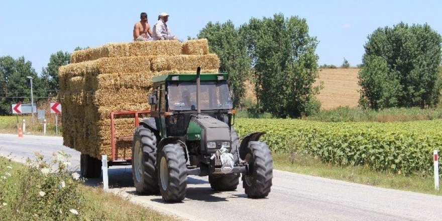 Saman balyaları üzerinde tehlikeli yolculuk