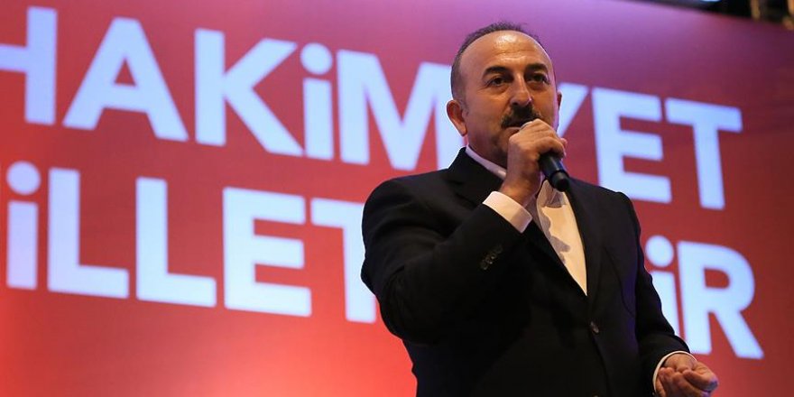 'Türkiye'dekileri inlerinden tek tek çıkarıyoruz'
