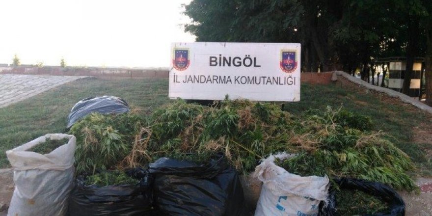 Bingöl’de uyuşturucu operasyonu