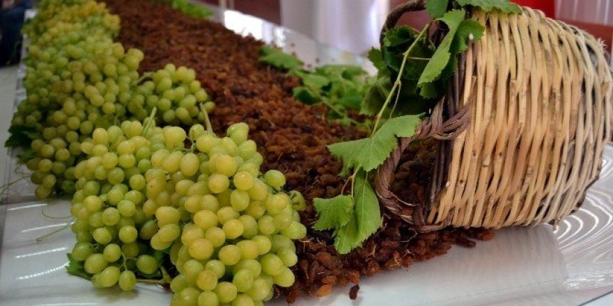 Üzüm üreticisine ’Erken hasat’ uyarısı