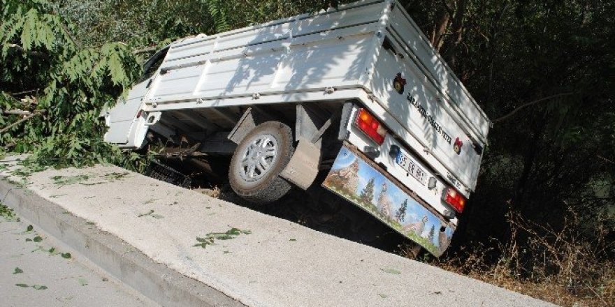 Irmağa uçmaktan ağaçlar kurtardı