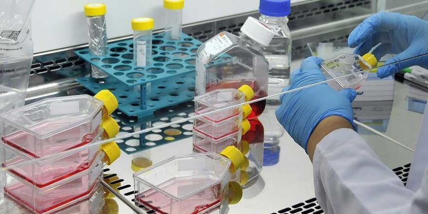 Sinir hücreleri kontrol edilerek hastalıklar iyileştirilecek