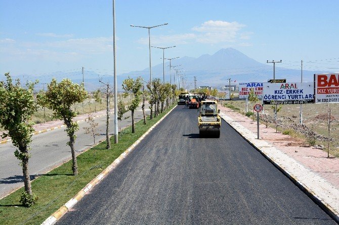 Aksaray Belediyesi, üniversitesinin yolunu asfaltlıyor