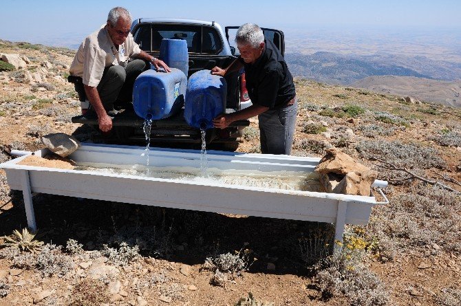 Yaban hayvanları için doğaya su teknesi yerleştirildi