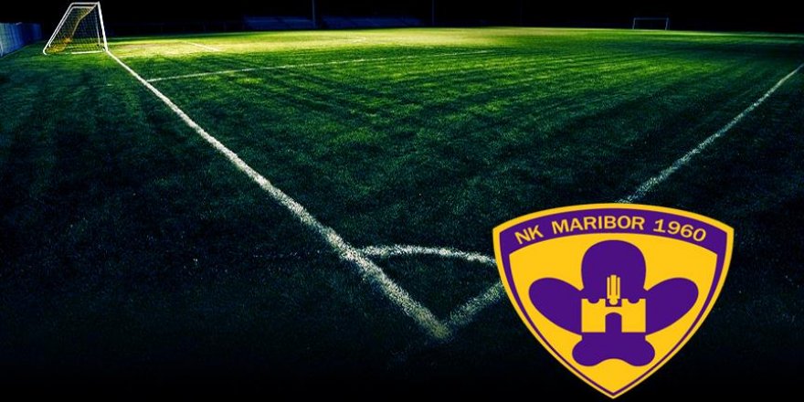 Slovenya futbolu yasta