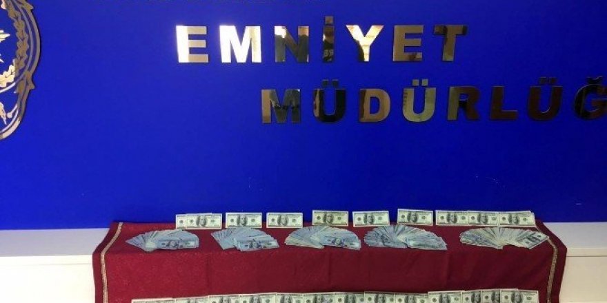 FETÖ’nün kadın kuryesi 100 bin dolar ile yakalandı