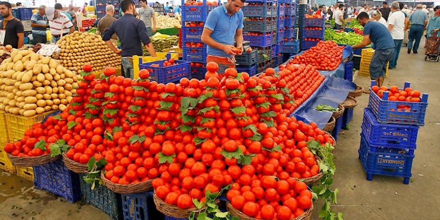 Domates fiyatları düşecek