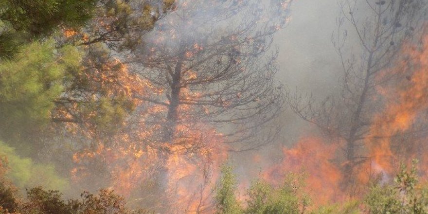 Çocukların oyunu bir mahalleyi yok edecekti