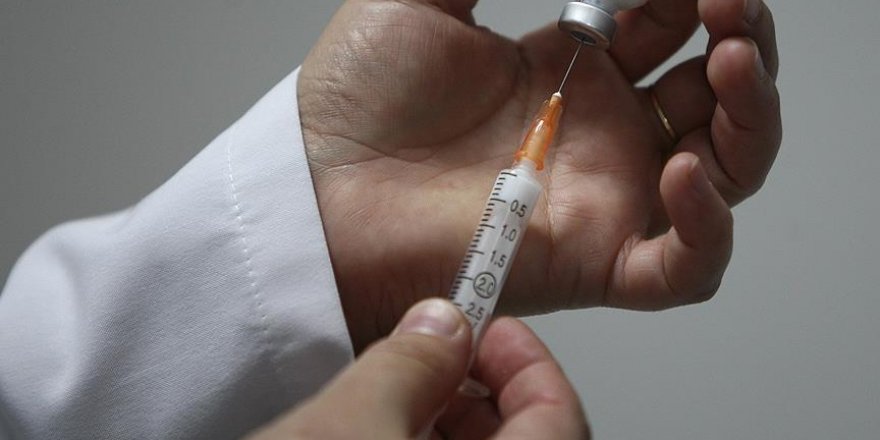 Zika aşısı maymunlarda işe yaradı