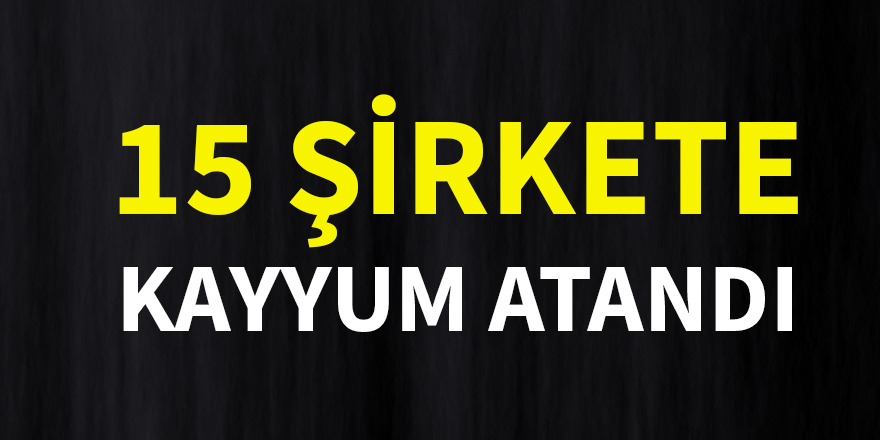 15 şirkete kayyum atandı
