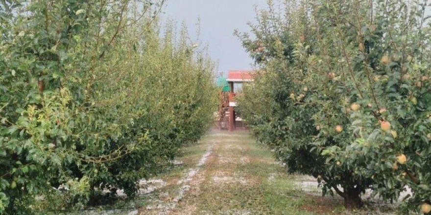 Beyşehir’de dolu yağışı