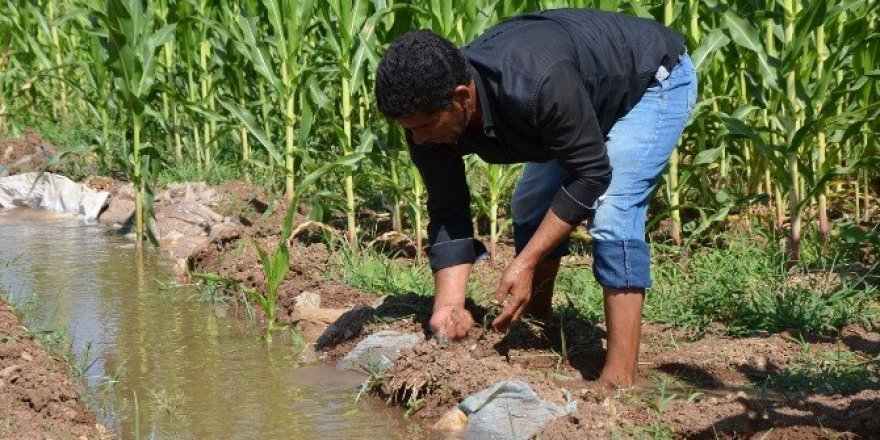 Elektrik borcu bulunan çiftçiler için son fırsat