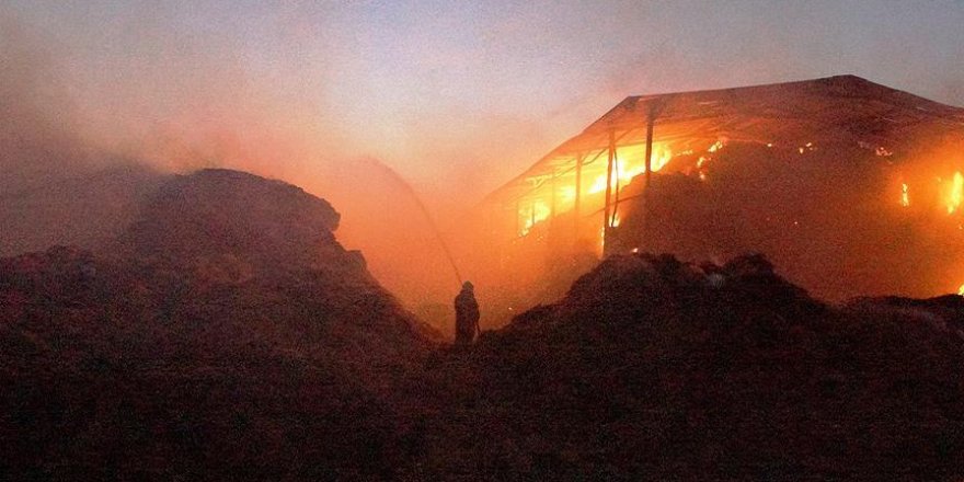 Ankara’daki çiftlik yangınında büyük hasar