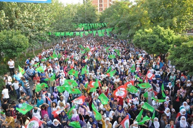 Siirt’te "Her türlü darbeye karşı çözüm radikal demokrasi" mitingi