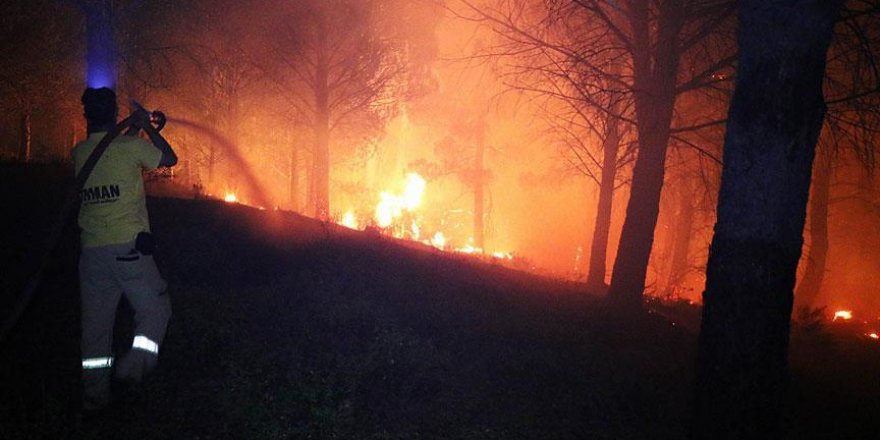 Kazdağları'nda orman yangını