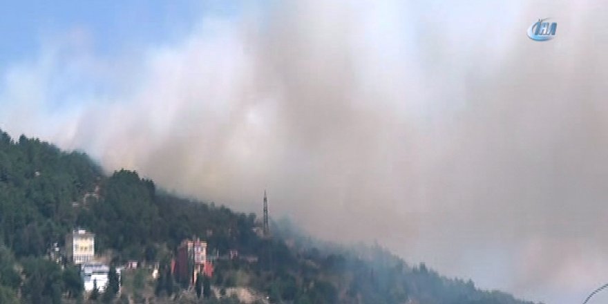 İstanbul'da orman yangını