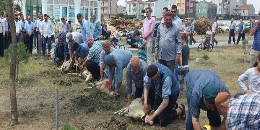 Darbe püskürtüldüğü için kurban kestiler