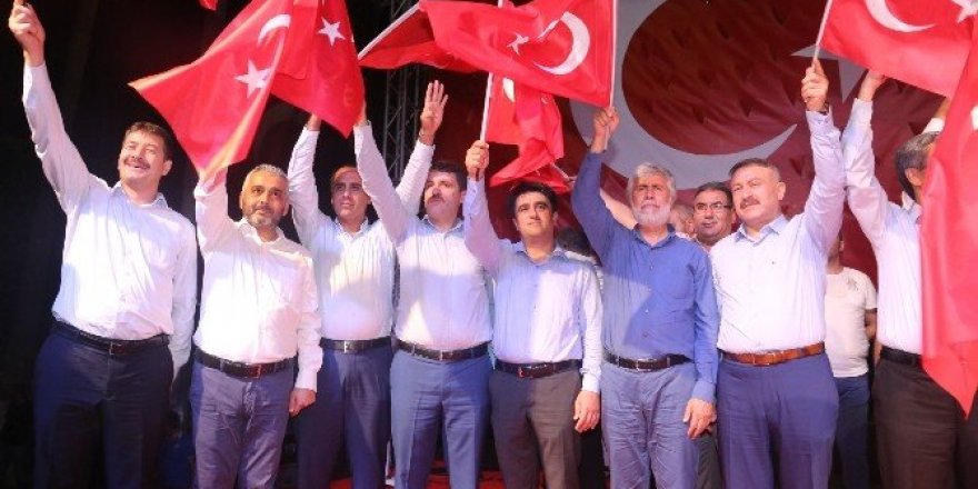 Ercik; "Dünyaya demokrasi dersi verdik"