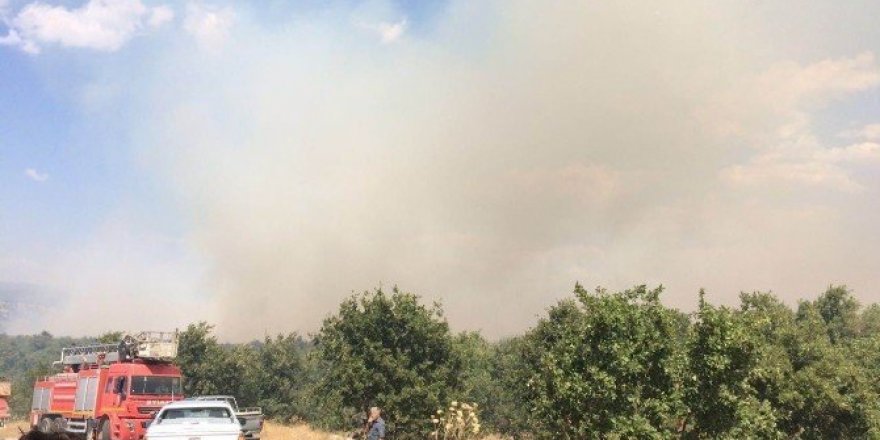 Dursunbey’de orman yangını