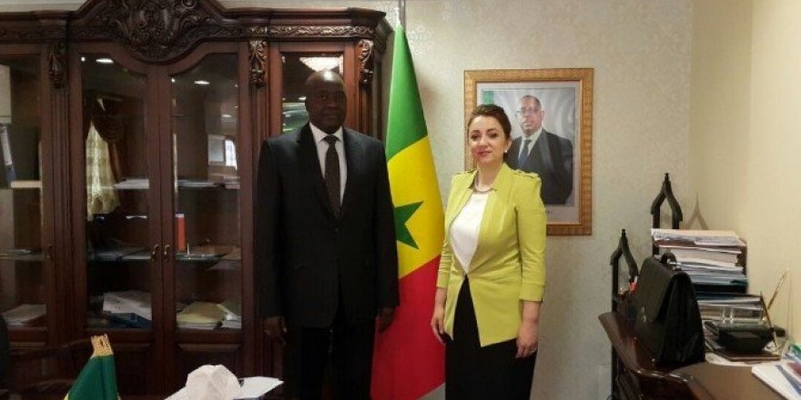Türkiye, Senegal ile ekonomik ticari işbirliği antlaşmaları yapacak
