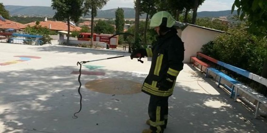 Eve giren yılanları itfaiye ekipleri yakaladı
