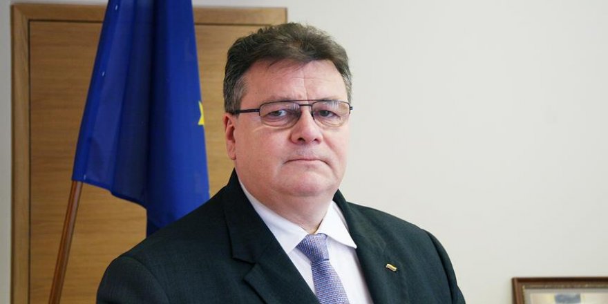 'Litvanya Türkiye'yi destekliyor'