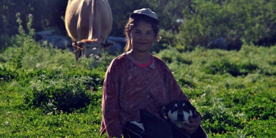 Tatilini çobanlık yaparak geçiriyor
