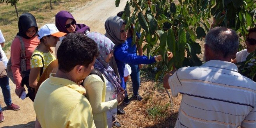 Üniversite öğrencileri uygulamalı tarımı öğrendi