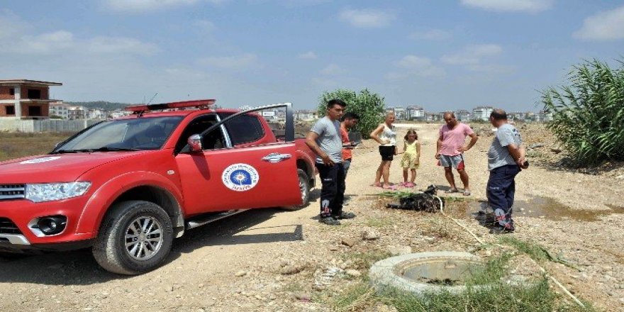 Rögardan keçi kurtarma operasyonu