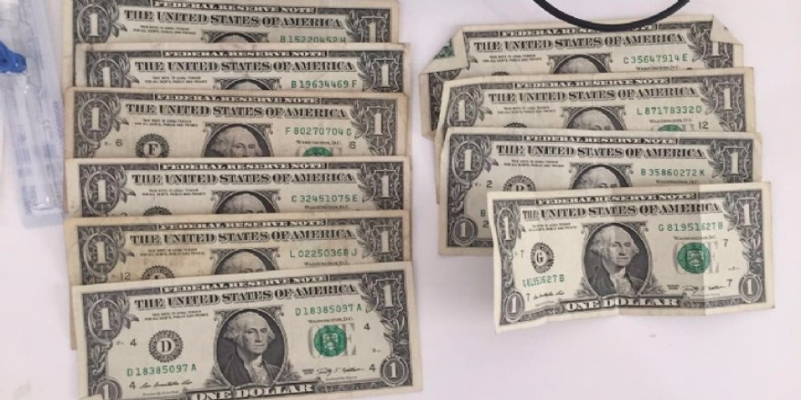 Midyat’ta 3 öğretmenin evinden 1 dolar çıktı