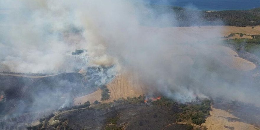 Çanakkale'de orman yangını