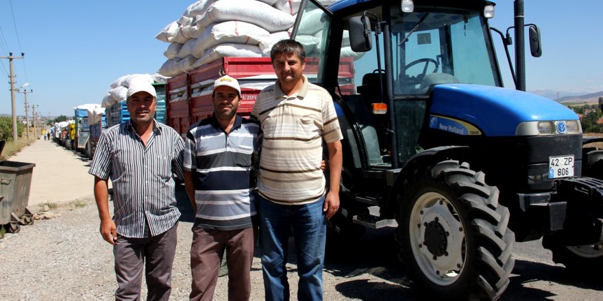 Seydişehir'de haşhaş kapsül alımları başladı