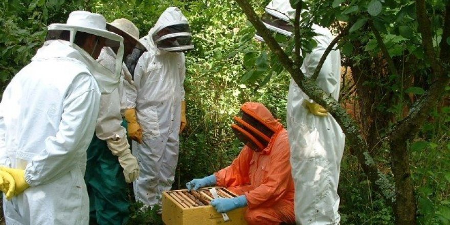 Bakanlıktan Malatya’daki orman köylülerine 9,6 milyon TL katkı