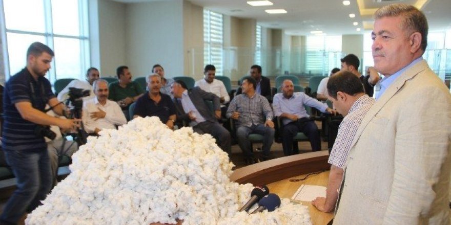 Şanlıurfa’da yılın ilk pamuğu sembolik olarak 32 TL’den satıldı