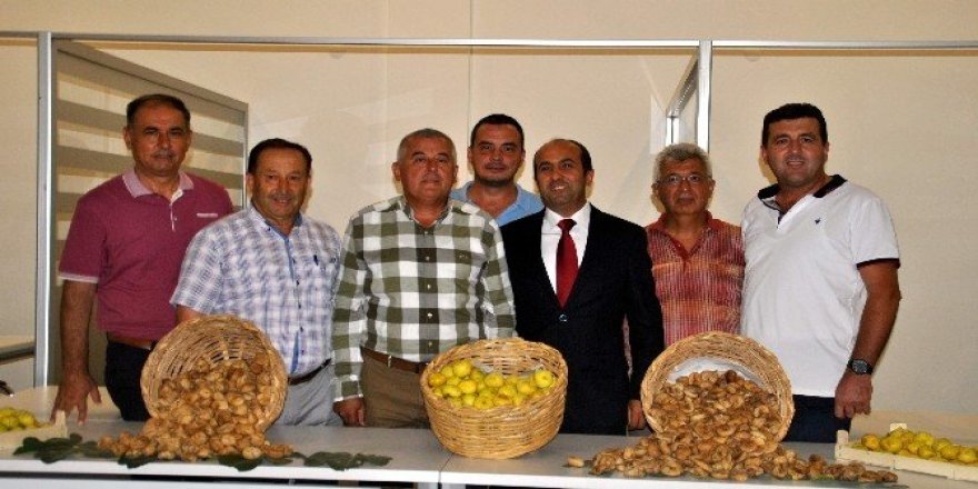 Aydın Ticaret Borsası sezonun ilk incirini 125 TL’ye aldı