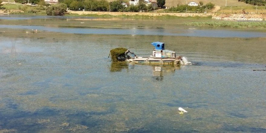 Gölkay’ın gölünde detaylı temizlik
