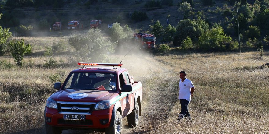Derbent'teki orman yangını kontrol altına alındı