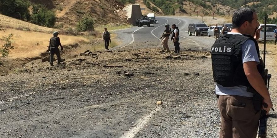 Bitlis'i kana bulayan terörist öldürüldü