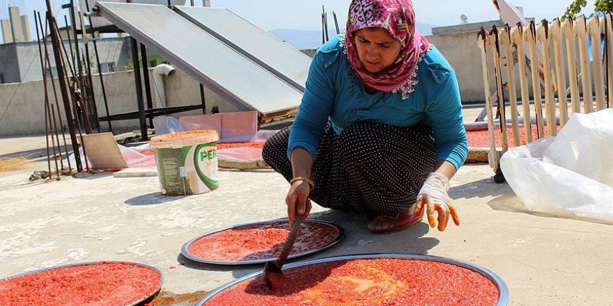 Kırmızı biberin salçaya uzanan zahmetli yolculuğu