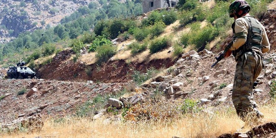 Şemdinli'de bir ayda 73 teröristin etkisiz hale getirildi