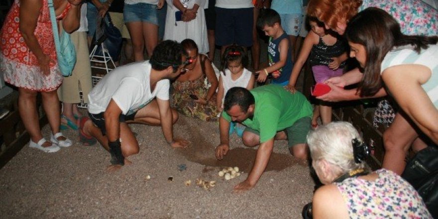 Marmaris’te caretta nöbeti sona erdi