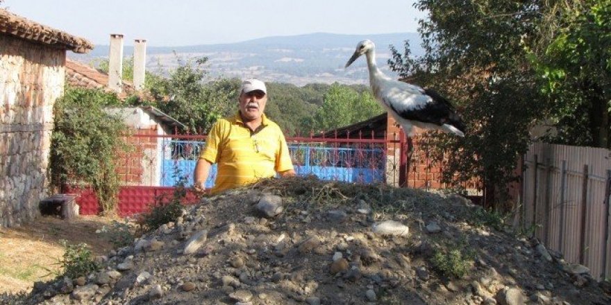 Göç edemeyen yavru leyleğe köylüler sahip çıktı